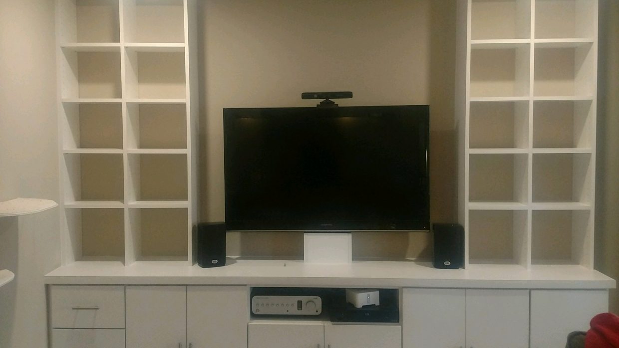 Basement TV Wall Unit